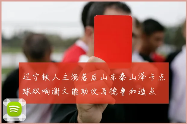 辽宁铁人主场落后山东泰山泽卡点球双响谢文能助攻马德鲁加造点
